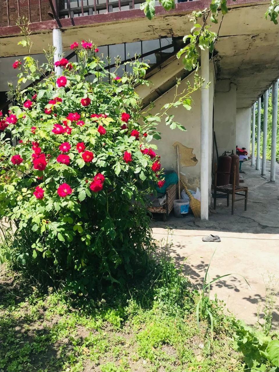 Dzoragyugh B&B Экстерьер фото